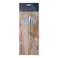 Artist Brush 12 Pieces