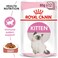 Feline Health Nutrition Kitten Gravy (WET FOOD - Pouches)