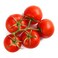 Tomato Vine Red