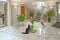 Cat Scratching Post, Natural Scratching, Cactus Shape Scratching Post, Cat Play, Cozy Cat Scratching, Green Color, 65 cm height