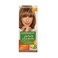 Garnier Color naturals Hair Color Ash Blonde shade 7.1, 110ml