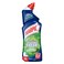 Harpic Pine Active Fresh Toilet Cleaner, 1L