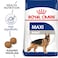Size Health Nutrition Maxi Adult 4 KG