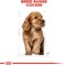 Royal Canin Bhn Cocker Puppy 3 Kg Breed Health Nutrition Dog Food, Multicolor, Cocker Puppy Dog Dry Food