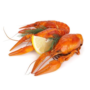 سمك استاكوزا كبير مجمد