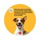 Pedigree Dentastix Dog Treats Small Breed Dog Food 45g