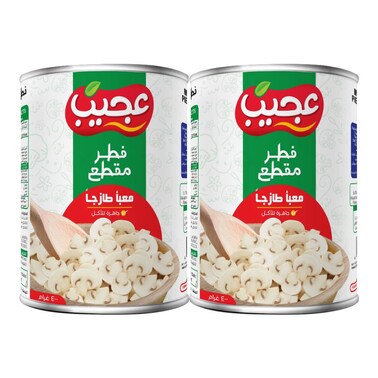 Buy Ajeeb Mushroom Pieces and Stems 400g Pack of 2 Online | Carrefour UAE