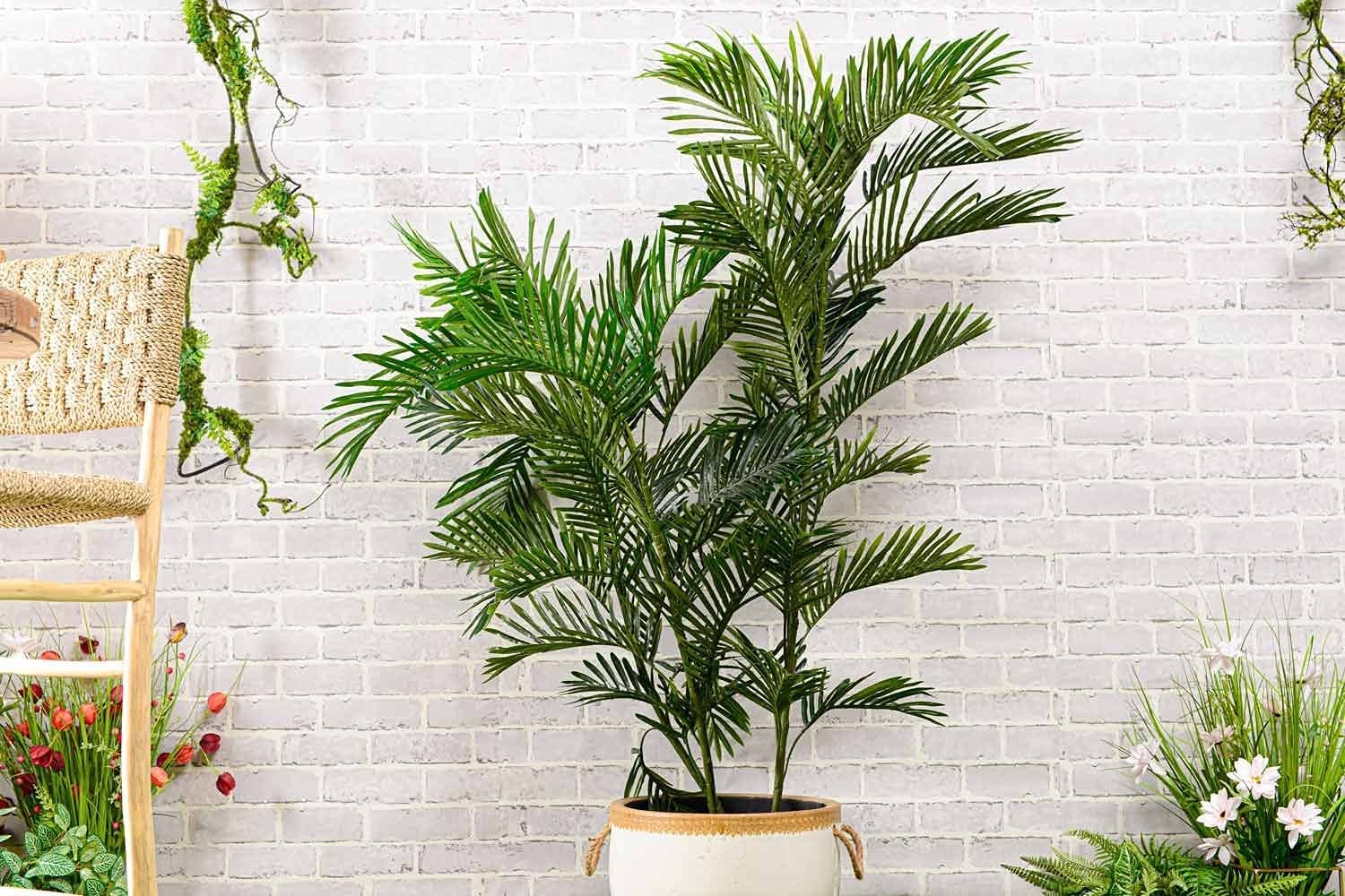 PAN Home Mini Palm Tree, Green, H180cm