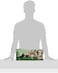 Sky Land Two Wheel Abdominal Trainer