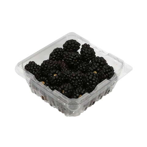 Driscoll&#39;s Organic Blackberries 170g