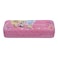 Disney Princess Pencil Box