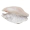Frozen White Snapper Fish Fillet