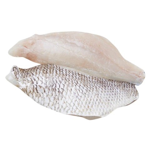 Frozen White Snapper Fish Fillet