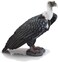 Animal Planet Mojo Griffon Vulture Toy Figure