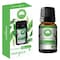 ELYSIUM SPA EUCALYPTUS OIL 10ML