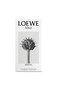 Loewe Solo Esencial Pour Homme Eau De Toilette - 100ml
