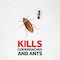 Raid Super-Fast Crawling Insect Killer Spray 300ml