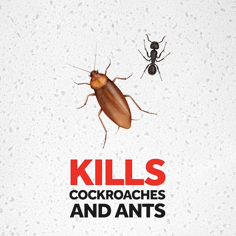 Raid Super-Fast Crawling Insect Killer Spray 300ml