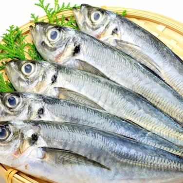 Mackerel Small Fish Fresh