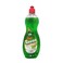 Life Raviva Pine Dishwashing Liquid 700ML