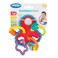 Rpoundabout Rattle