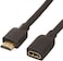 Amazonbasics High-Speed Male To Female HDMI Extension Cable, 6 Feet