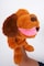 Pugs At Play Puppet Dog 12&quot; B/O