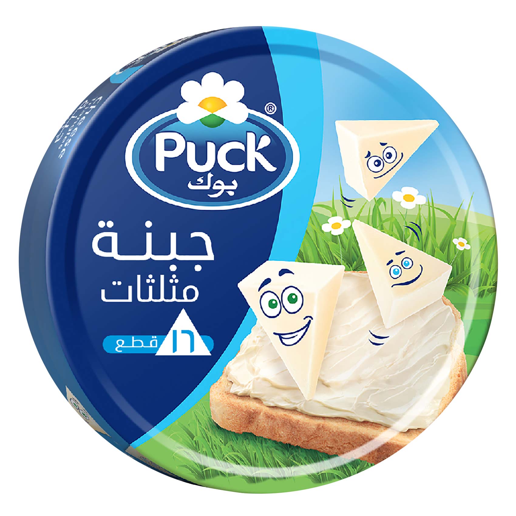 Puck Triangle Cheese 19 Pieces