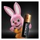 Duracell Basic AA Batteries 12 Pieces