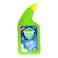 Saaf n safe Ab Toilet Cleaner 750 ml