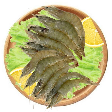 Frozen Shrimps 40/50