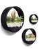 Generic Set Of 3 Wall Vases Metal Glass Round Wall Flower Pots Wall Terrarium Vertical Container Wall Vases Succulents Herbs Planter Decor For Garden, Balcony, Stairs, Living Room, Bar, Office
