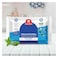 Carrefour Cool Mint Antibacterial Wipes 20 Count