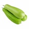Asian Gourd