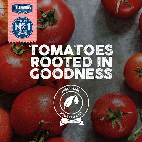 Hellmann&#39;s Tomato Ketchup Classic flavour 500g