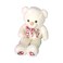 Soft Bear With Music Assorted 80cm