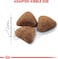 Royal Canin Fhn Feline Health Nutrition Indoor 2Kg Cat Dry Food