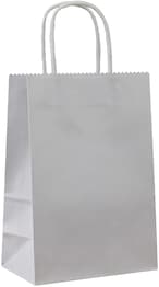 Buy Party Time 12-Pieces A5 Silver/Gray Kraft Paper Bags with Handle Party Gift Bag Birthday Wedding Graduation Baby Shower Christmas Shopping Favor Present Bag Souvenir Bag in UAE