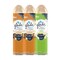 Glade Air Freshener with Lavender Scent - 300ml - 3 Pieces