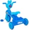 Duckids Tricycle DK 2100 (Blue) 100% Assembled