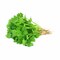 Coriander - 100 gram