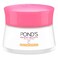 Pond's Bright Beauty Day Cream SPF30 50g