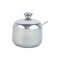 A1 Stainless Steel Jar with Spoon