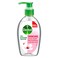 Dettol Skin Care Anti-Bacterial Liquid Hand Wash - 200 ml