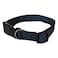 Agrobiothers Dog Collar 35cm