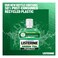 Listerine Green Tea Mouthwash 500ml