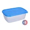 Meal Box With Cover - Large - 5 Pieces
