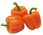 Buy CAPSICUM ORANGE in Kuwait