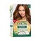 Wella No Ammonia Soft Color Kit 63 Golden Caramel 1 Piece