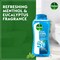 Dettol Instant Cool Antibacterial Bodywash and Shower Gel, Menthol &amp; Euclayptus, 250ml